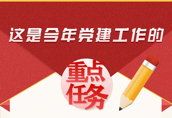 這是今年黨建工作的重點(diǎn)任務(wù)